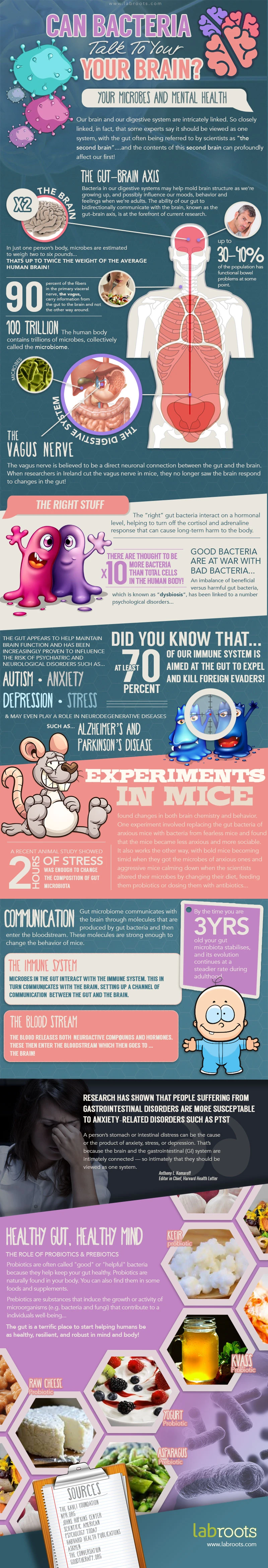 Can Bacteria Talk To Your Brain And Influence Your Mood And Behavior Through The Gut Brain Connection And Microbiome Interactions In Your Body